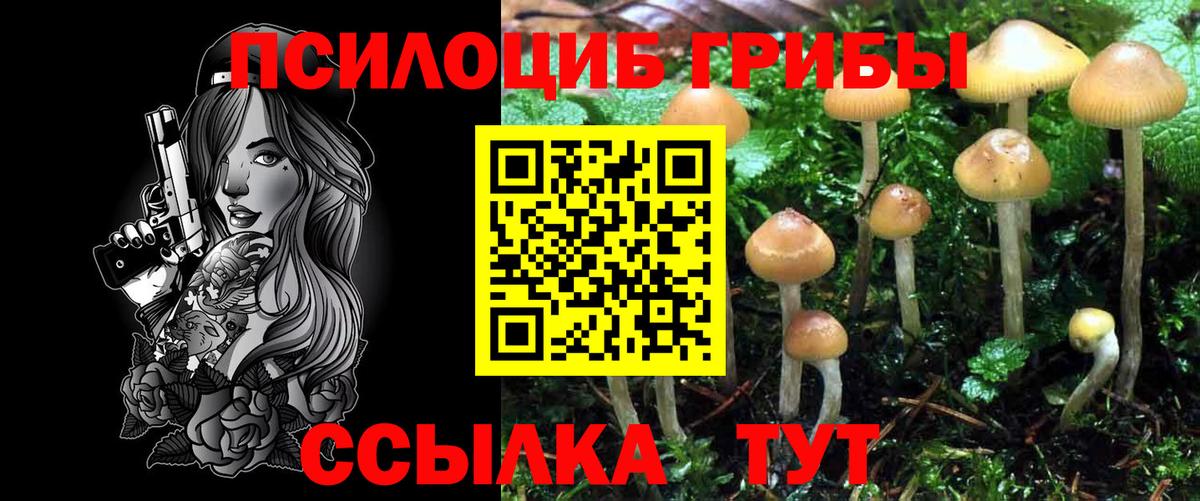 Галлюциногенные грибы GOLDEN TEACHER Нурлат