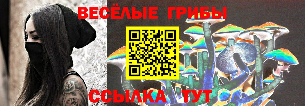 Нурлат  Галлюциногенные грибы GOLDEN TEACHER  Вход с VPN 